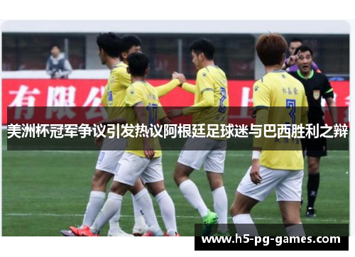 美洲杯冠军争议引发热议阿根廷足球迷与巴西胜利之辩